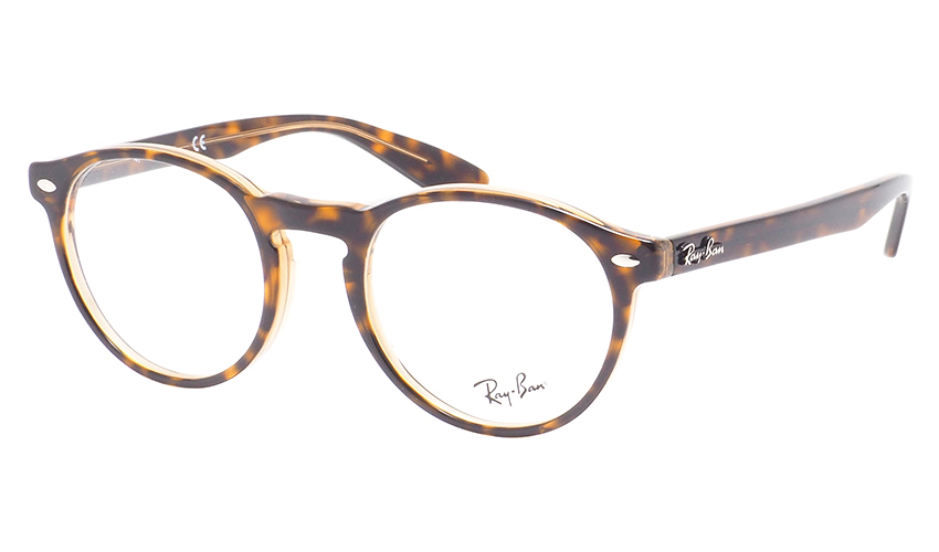 Ray-Ban Icons 5283 5989 Round
