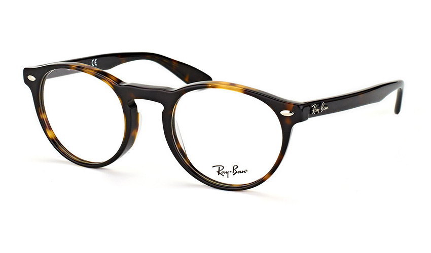 Ray-Ban Icons 5283 2012 Round
