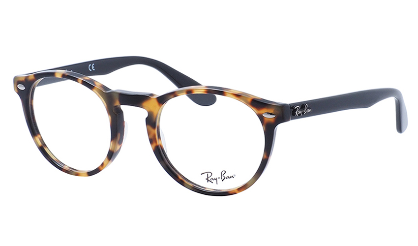 Ray-Ban Icons 5283 5608 Round